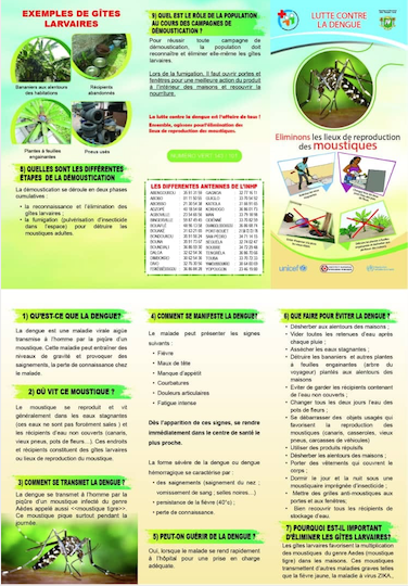 Prévention et Lutte contre la Dengue.